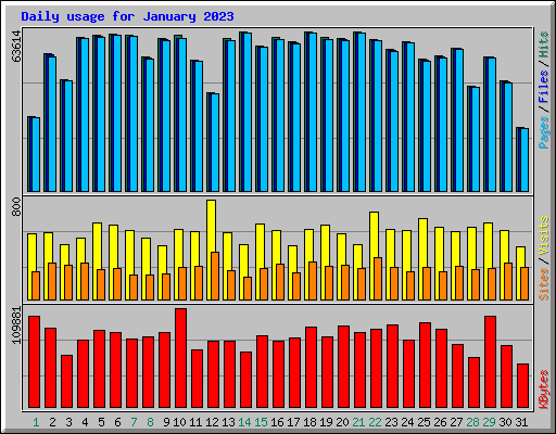 Daily usage for January 2023