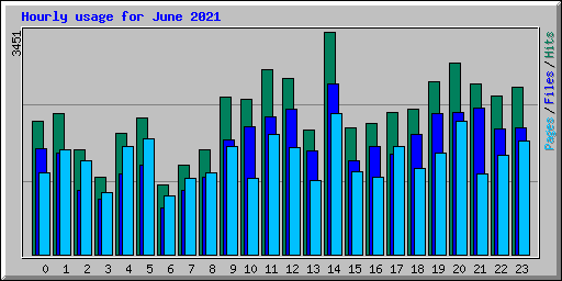 Hourly usage for June 2021