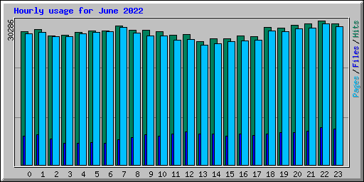 Hourly usage for June 2022