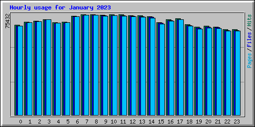 Hourly usage for January 2023