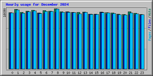 Hourly usage for December 2024