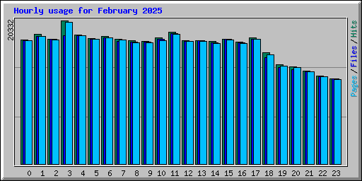 Hourly usage for February 2025