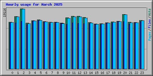 Hourly usage for March 2025