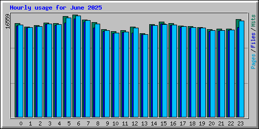 Hourly usage for June 2025