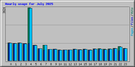 Hourly usage for July 2025