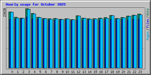 Hourly usage for October 2025