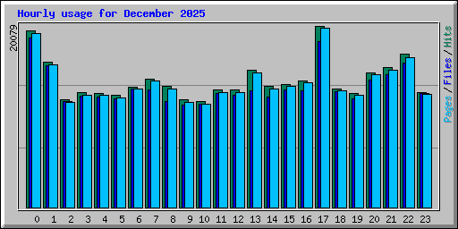 Hourly usage for December 2025