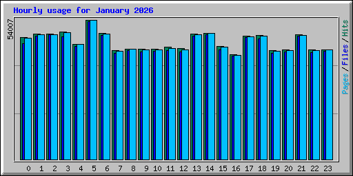 Hourly usage for January 2026