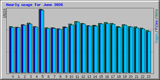 Hourly usage for June 2026